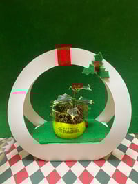 HOLLY PLANT BALL