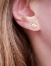 Image 2 of Puces NISSA