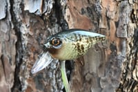 Image 4 of Custom Airbrushed Crankbait 6456