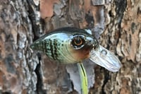 Image 6 of Custom Airbrushed Crankbait 6456