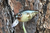 Image 7 of Custom Airbrushed Crankbait 6456