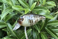 Image 9 of Custom Airbrushed Crankbait 6456