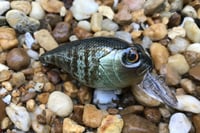 Image 2 of Custom Airbrushed Crankbait 6456