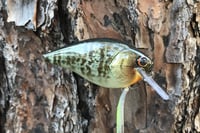 Image 3 of SPEEDBAITS Custom Airbrushed Lucky Squarebill 6489