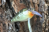Image 6 of SPEEDBAITS Custom Airbrushed Lucky Squarebill 6489