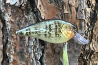 Image 7 of SPEEDBAITS Custom Airbrushed Lucky Squarebill 6489