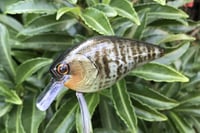 Image 8 of SPEEDBAITS Custom Airbrushed Lucky Squarebill 6489