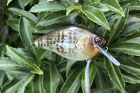 Image 10 of SPEEDBAITS Custom Airbrushed Lucky Squarebill 6489