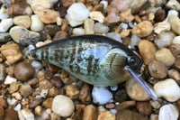 Image 2 of SPEEDBAITS Custom Airbrushed Lucky Squarebill 6489