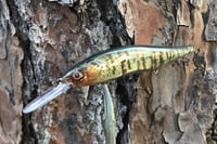 Image 5 of Custom Airbrushed Jerkbait TA 110+ 6570