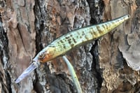 Image 7 of Custom Airbrushed Jerkbait TA 110+ 6570