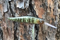 Image 8 of Custom Airbrushed Jerkbait TA 110+ 6570