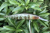 Image 9 of Custom Airbrushed Jerkbait TA 110+ 6570