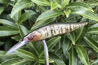 Image 10 of Custom Airbrushed Jerkbait TA 110+ 6570