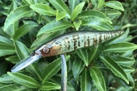 Image 11 of Custom Airbrushed Jerkbait TA 110+ 6570