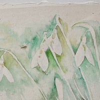 Image 2 of Snowdrop shade 1