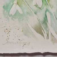 Image 3 of Snowdrop shade 1