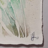 Image 4 of Snowdrop shade 1