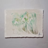 Image 1 of Snowdrop shade 1