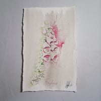 Image 1 of Fixglove Fade 1