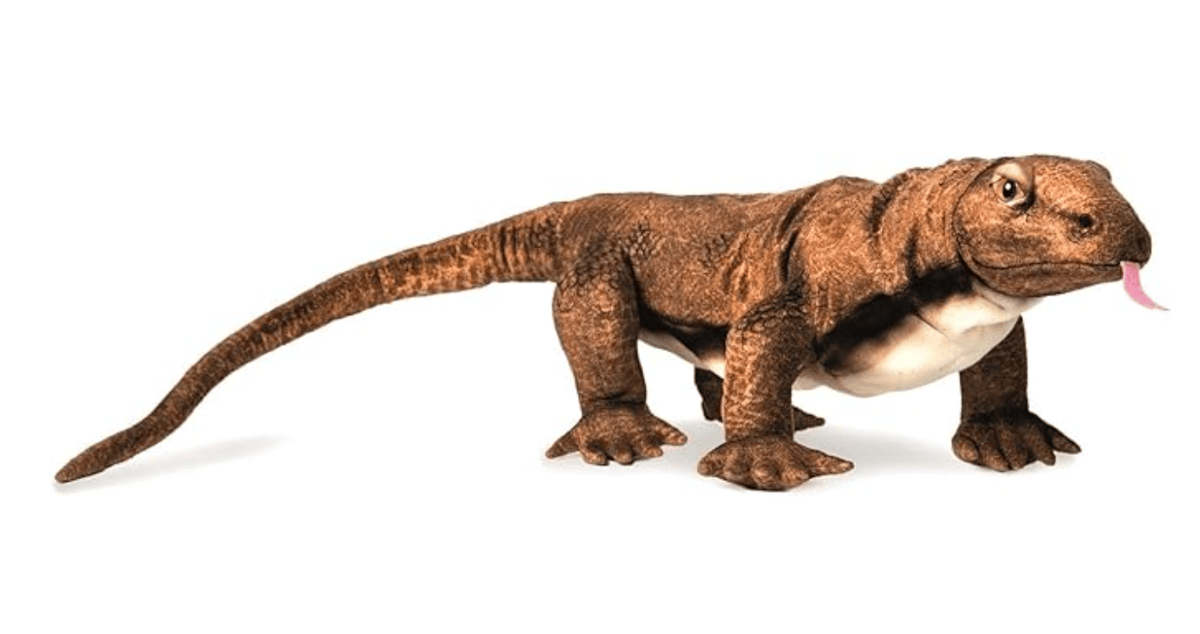 Image of Kimodo Dragom