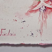 Image 2 of Fuchsia fade 1