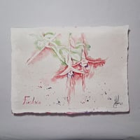 Image 1 of Fuchsia fade 1