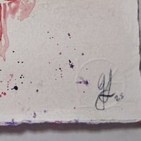 Image 4 of Fuchsia fade 1