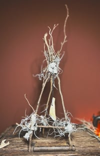 Image 3 of horse tooth air plant devil net