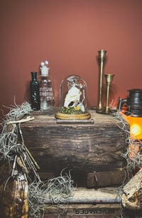 Image 1 of the smollest muskrat cloche