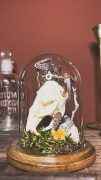 Image 3 of the smollest muskrat cloche