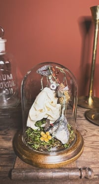 Image 4 of the smollest muskrat cloche