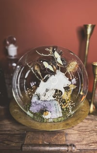 Image 3 of groundhog globe