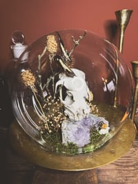 Image 4 of groundhog globe