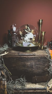 Image 1 of groundhog globe