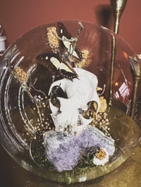 Image 5 of groundhog globe