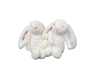 "Luna Leap" our CDC Studios mascot