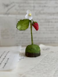 Image 1 of Spun cotton strawberry and flower