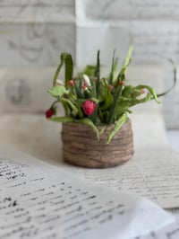 Image 1 of Spun cotton strawberry basket 