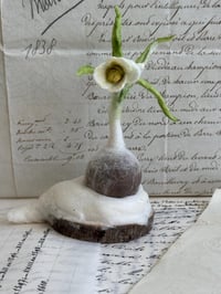 Image 1 of Spun cotton snowdrop bulb