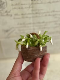 Image 2 of Spun cotton snowdrop basket 