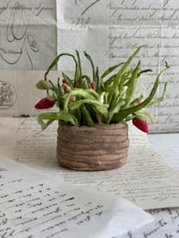 Image 2 of Spun cotton strawberry basket 