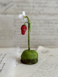 Image 2 of Spun cotton strawberry and flower