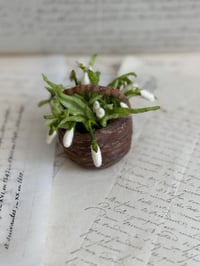 Image 1 of Spun cotton snowdrop basket 