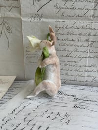 Image 3 of Spun cotton flower bunny ornament