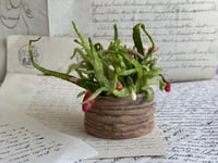 Image 3 of Spun cotton strawberry basket 