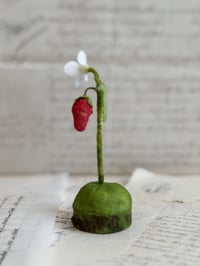 Image 3 of Spun cotton strawberry and flower