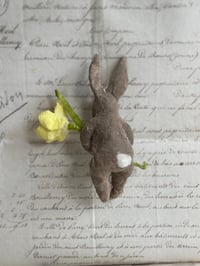 Image 3 of Spun cotton daffodil bunny ornament