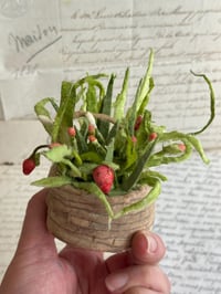 Image 4 of Spun cotton strawberry basket 