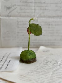 Image 4 of Spun cotton strawberry and flower